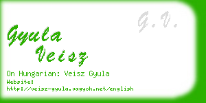 gyula veisz business card